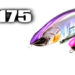 【アチック】アニー175の特徴＆カラーを紹介！！