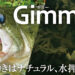【ボトムアップ】ギミーのおすすめフック＆カラーを紹介！！